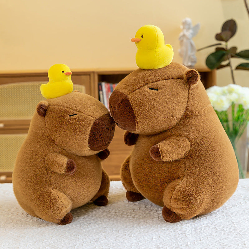 816832fa1554bedc699c9d83ec7bd24a