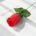 9fdb3dba861ffac1a5692f12692ca5cc