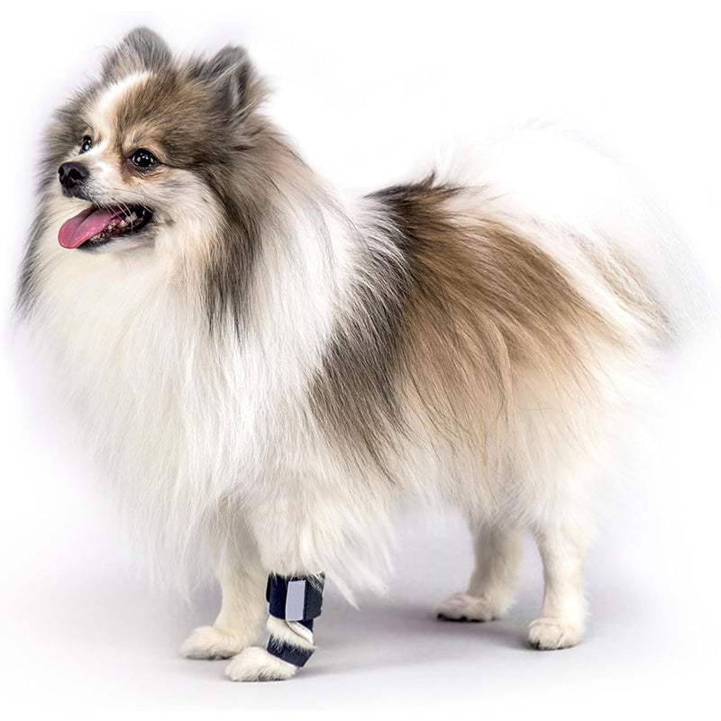 Dog Front Leg Support Brace
