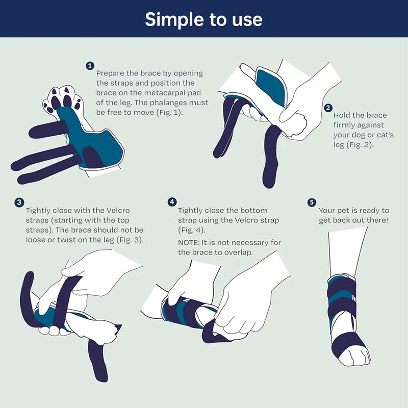 Dog Front Leg Support Brace