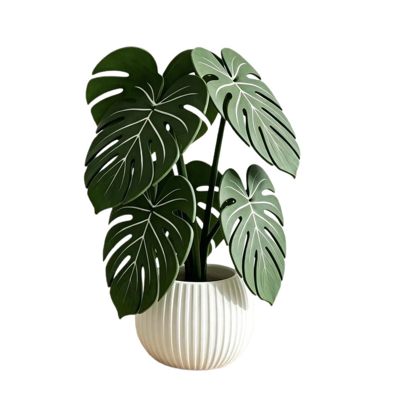 Monstera Leaf 3D Coasters