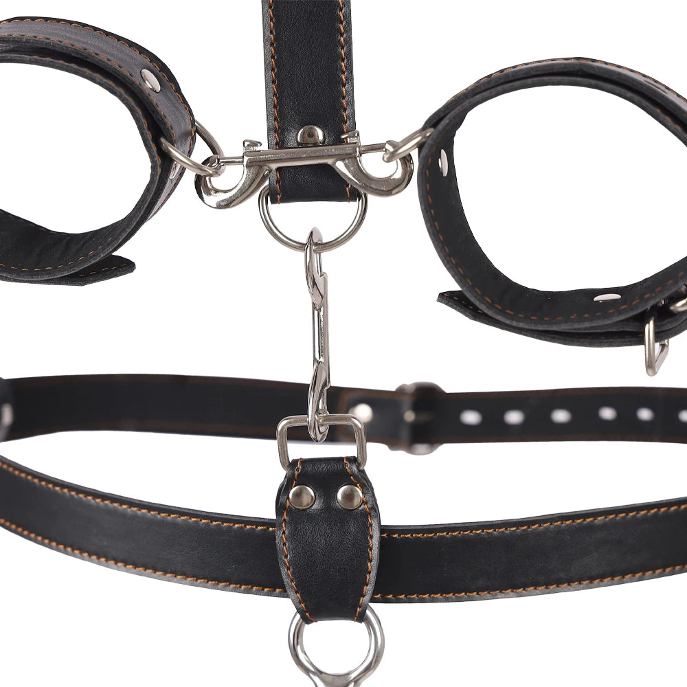 BDSM Cuffs, Anal Hook, Gag & Collar Set