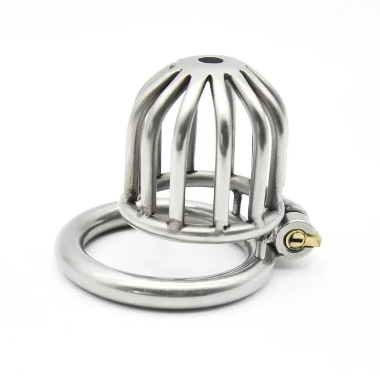 Stainless Steel Locking Chastity Cage