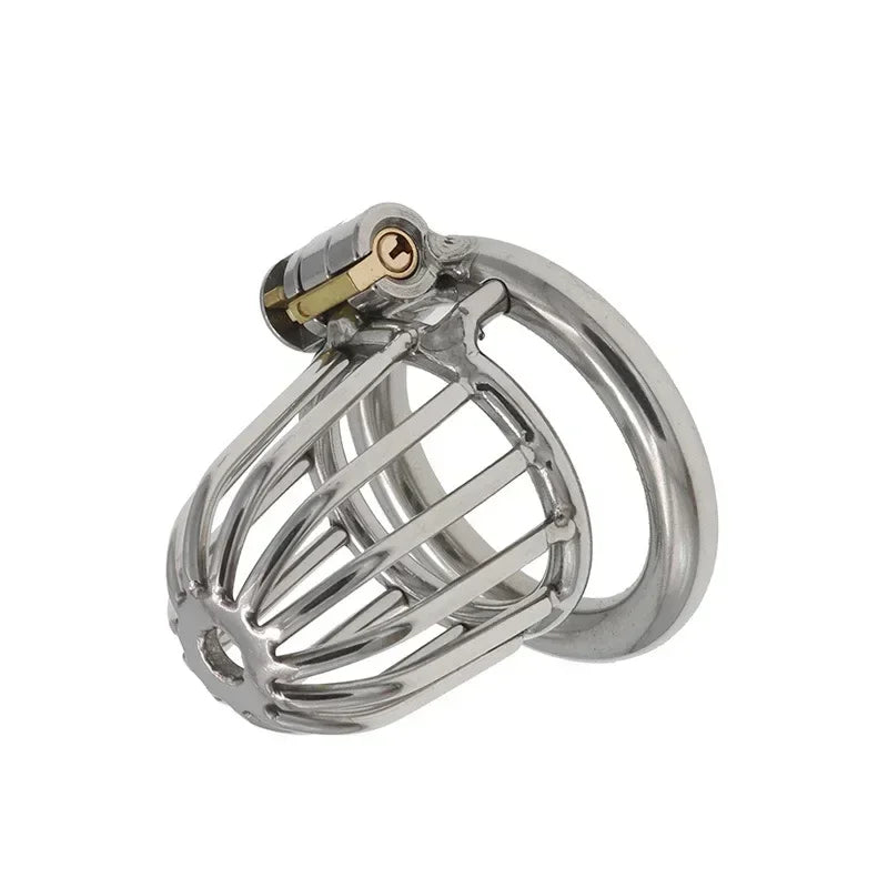Stainless Steel Locking Chastity Cage