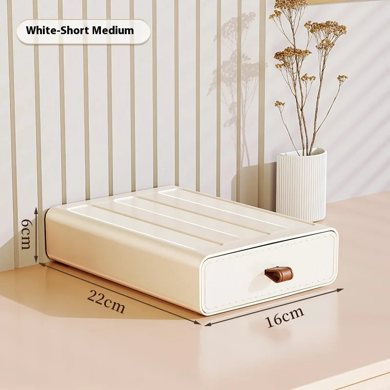 Desktop Pen, Mask & Entryway Storage Organizer