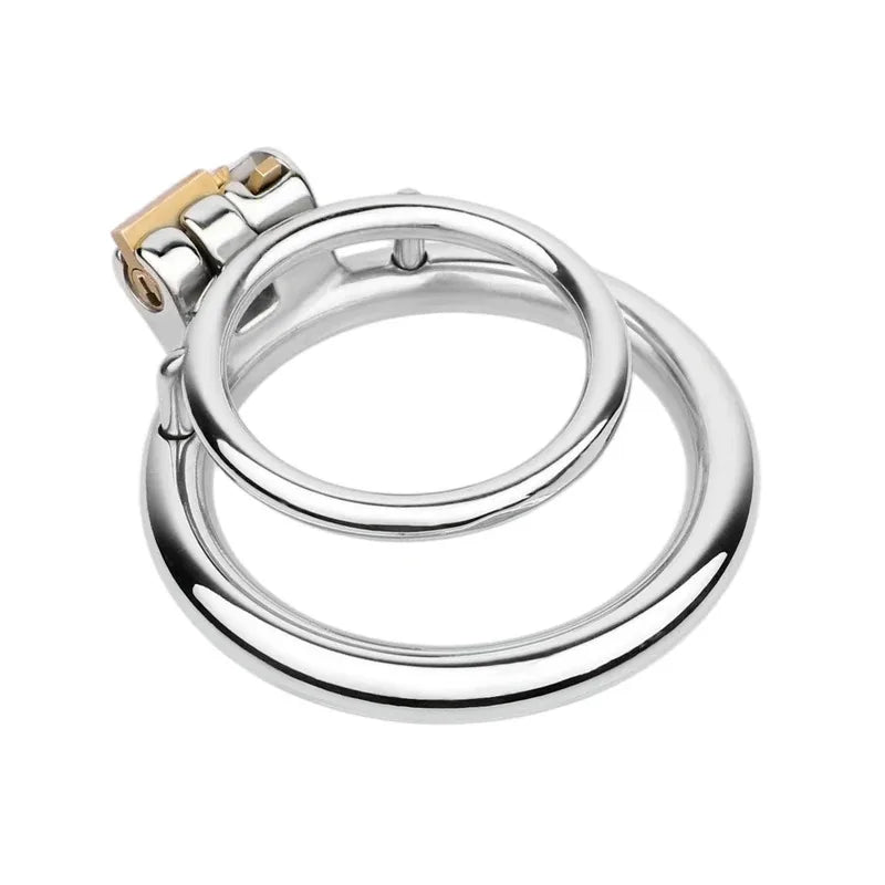 Locking Steel Chastity Cage