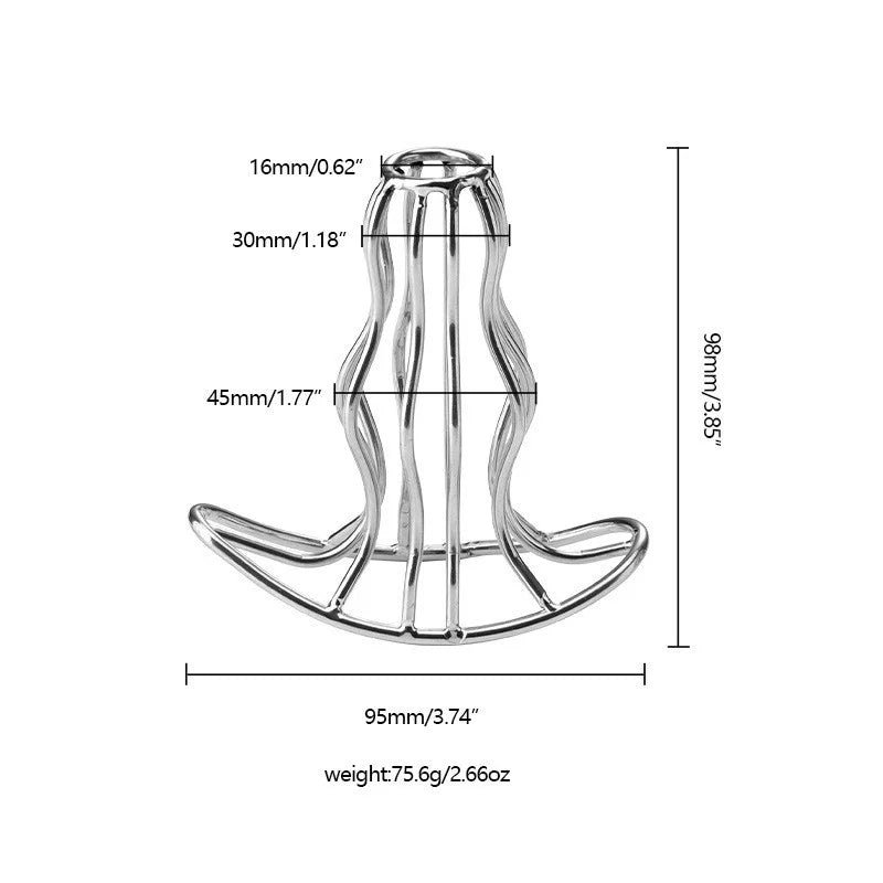 Hollow Stainless Steel Anal Plug