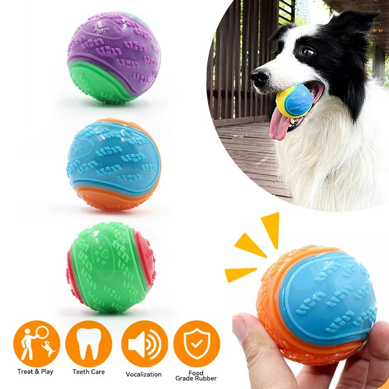 Squeaky TPR Dog Ball for Chewing & Teeth Cleaning