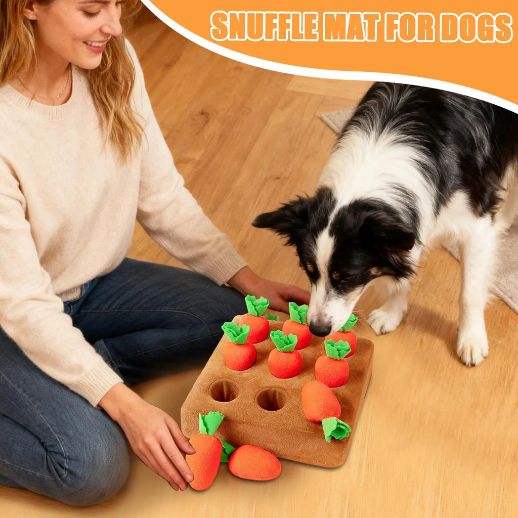 Carrot Snuffle Mat & Puzzle Dog Toy