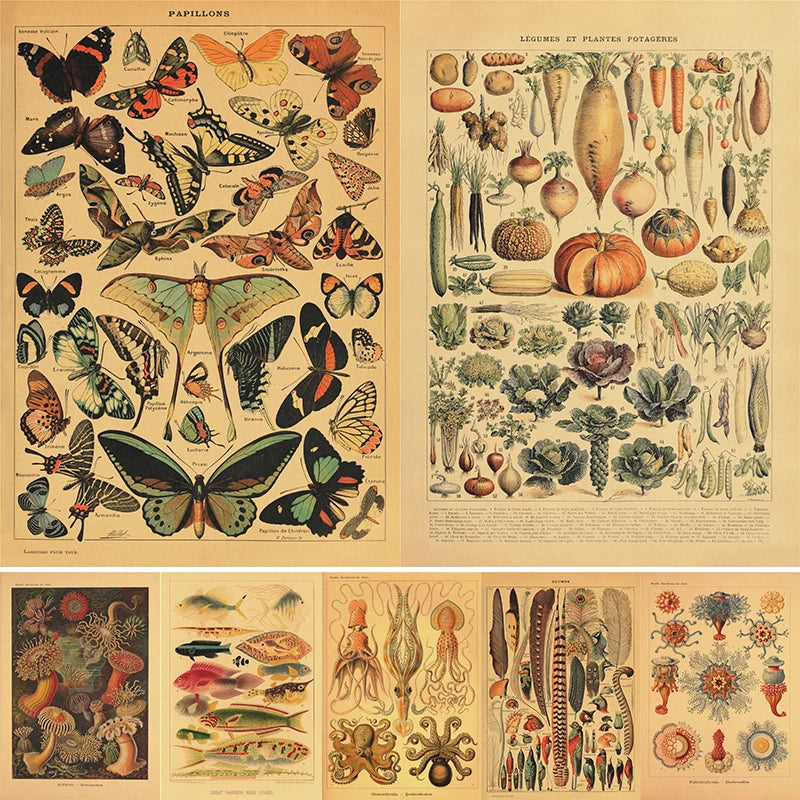 1PC Butterfly Mushroom Vintage Poster Movie Sticky Posters Retro Kraft Paper Sticker Room Bar Cafe Aesthetic Art Wall Painting