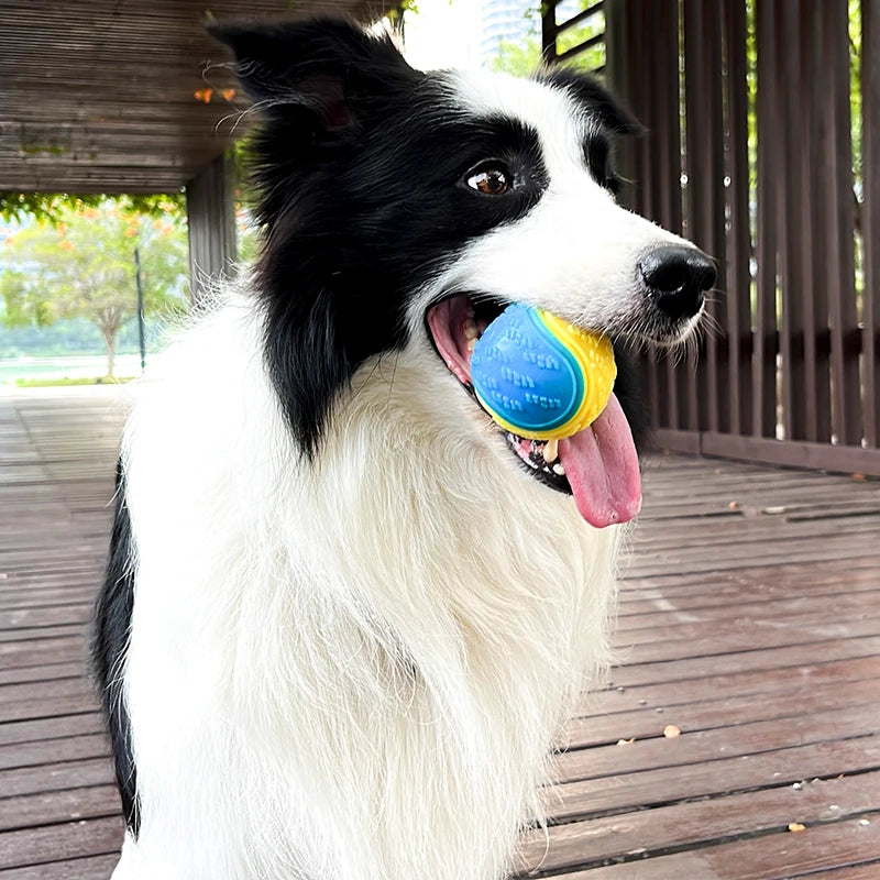 Squeaky TPR Dog Ball for Chewing & Teeth Cleaning