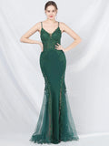 Women's Sheer Lace Mesh Maxi Evening Dress