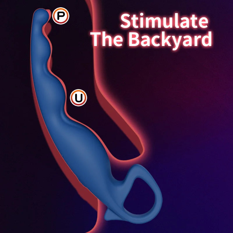 App-Controlled Vibrating Anal Plug