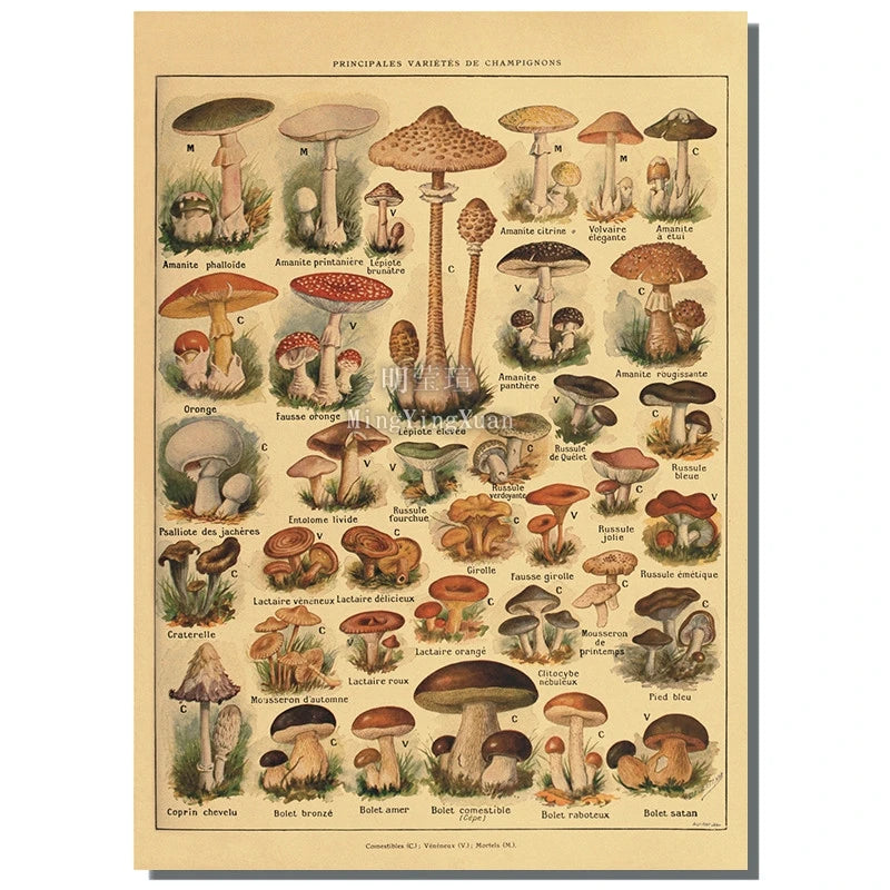 1PC Butterfly Mushroom Vintage Poster Movie Sticky Posters Retro Kraft Paper Sticker Room Bar Cafe Aesthetic Art Wall Painting