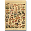 1PC Butterfly Mushroom Vintage Poster Movie Sticky Posters Retro Kraft Paper Sticker Room Bar Cafe Aesthetic Art Wall Painting