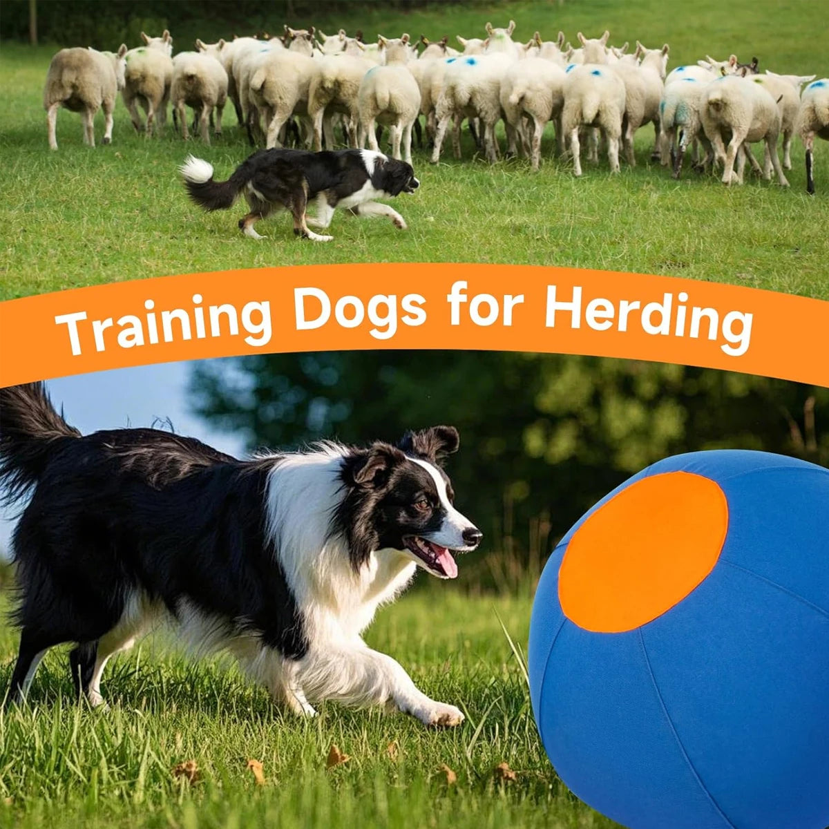 Large Outdoor Animal Ball Toy for Dogs