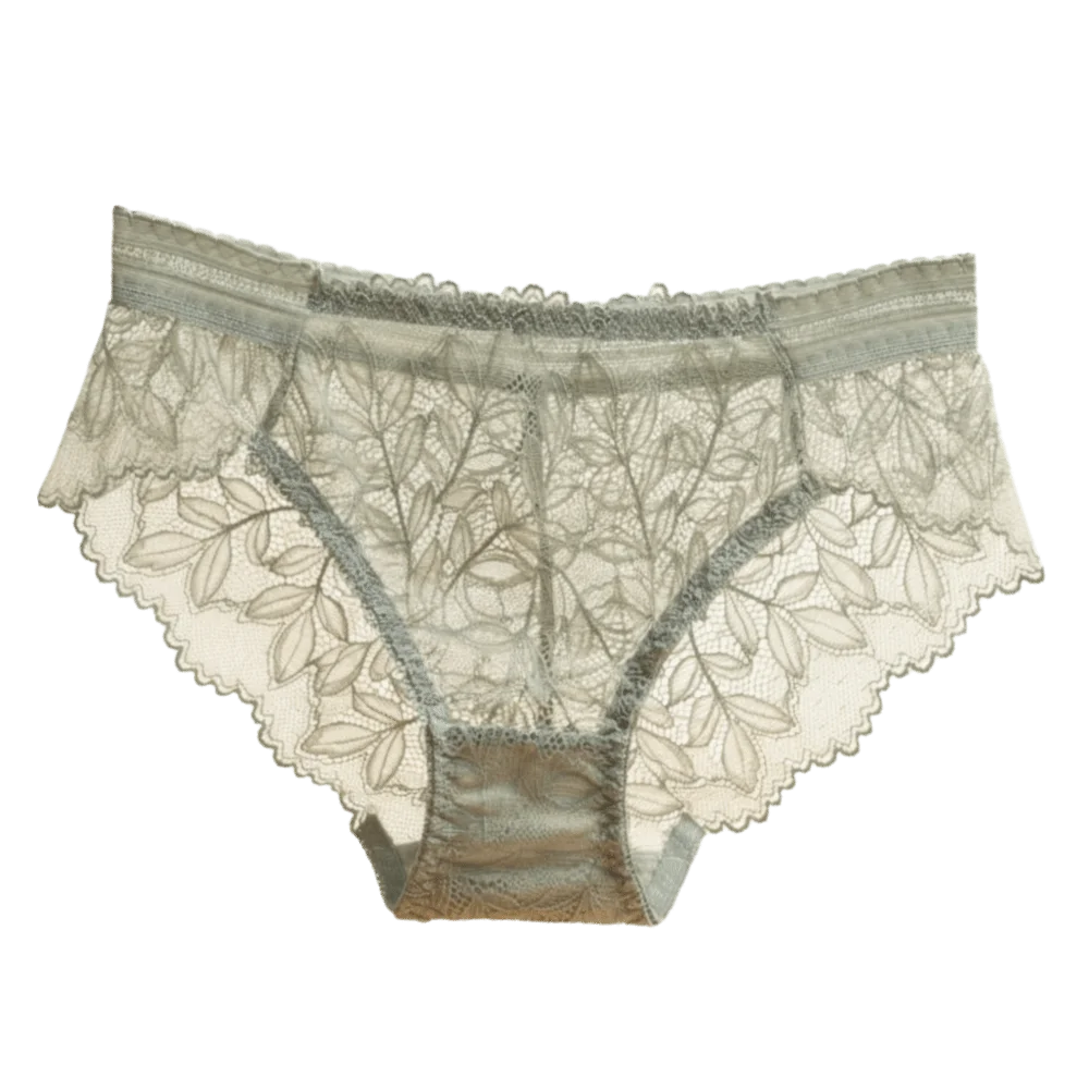 Lingerie Low Waist Women's Panties Transparent Mesh Lace Briefs Hollow Out Seamless Underwear Female