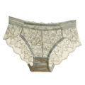 Lingerie Low Waist Women's Panties Transparent Mesh Lace Briefs Hollow Out Seamless Underwear Female