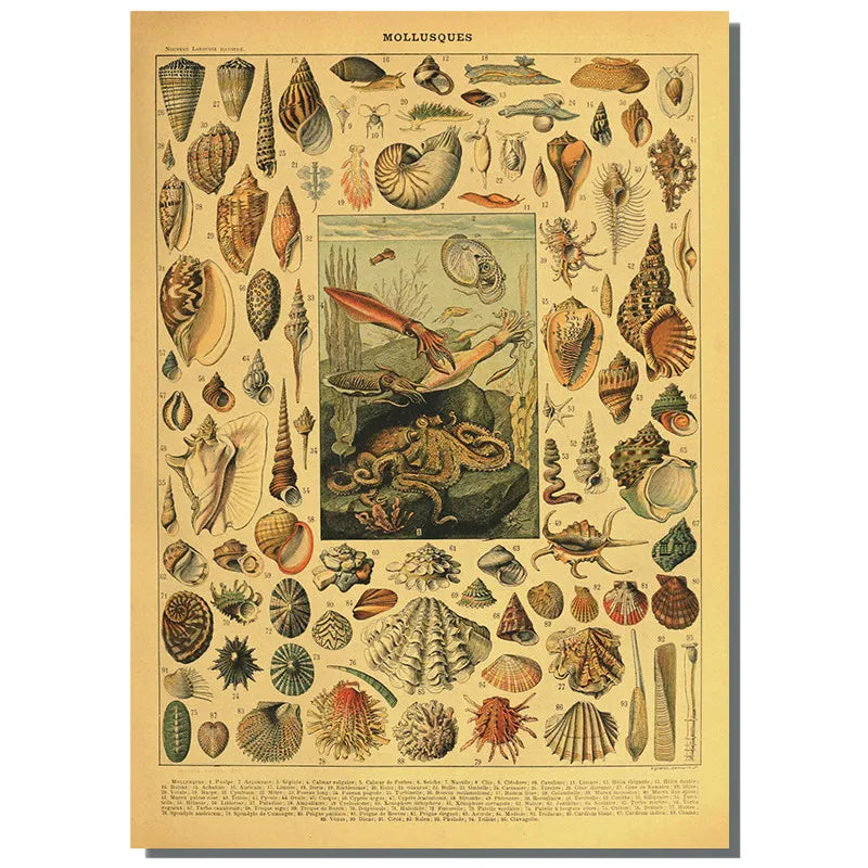 1PC Butterfly Mushroom Vintage Poster Movie Sticky Posters Retro Kraft Paper Sticker Room Bar Cafe Aesthetic Art Wall Painting