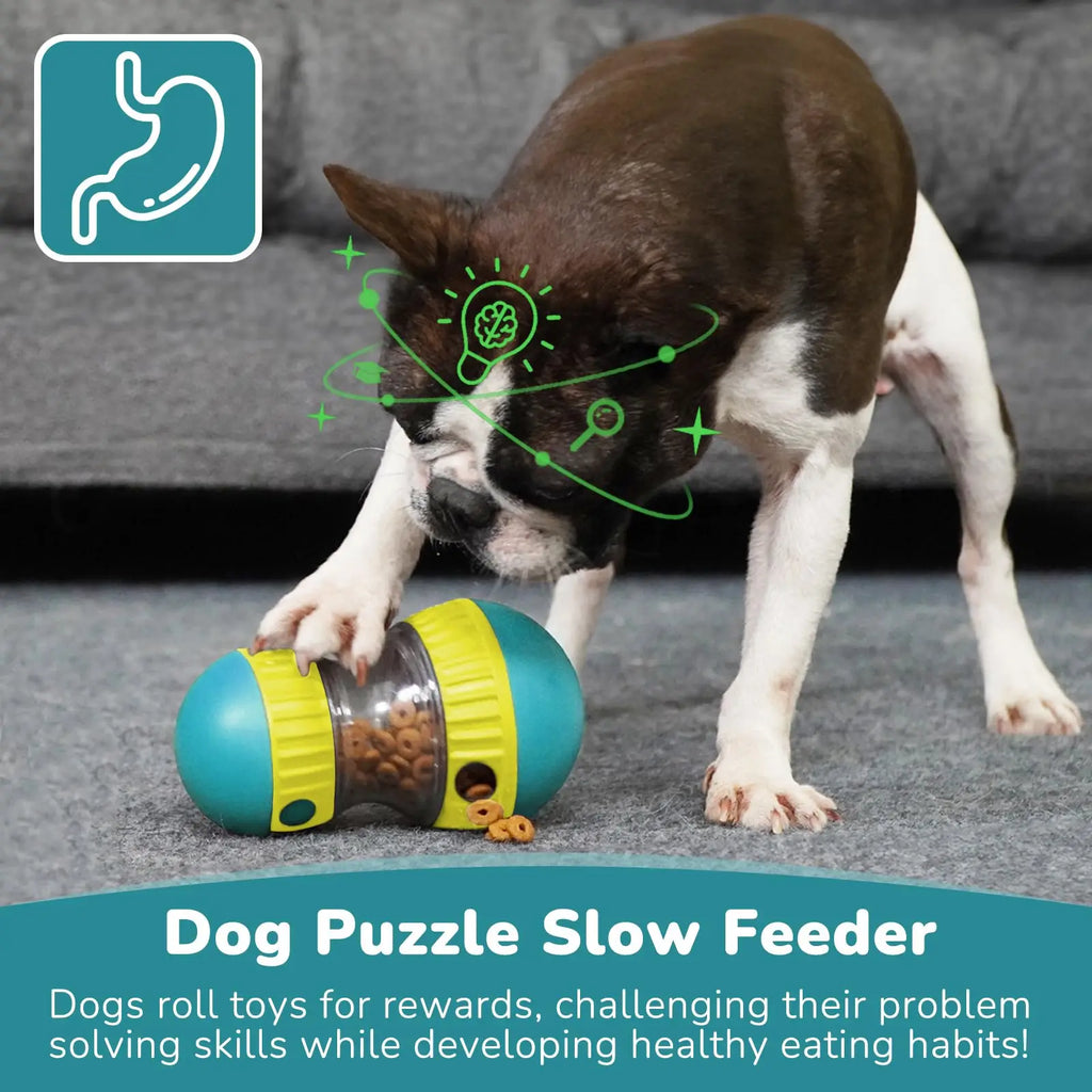 Interactive Slow-Feeder Treat Ball for Dogs & Cats