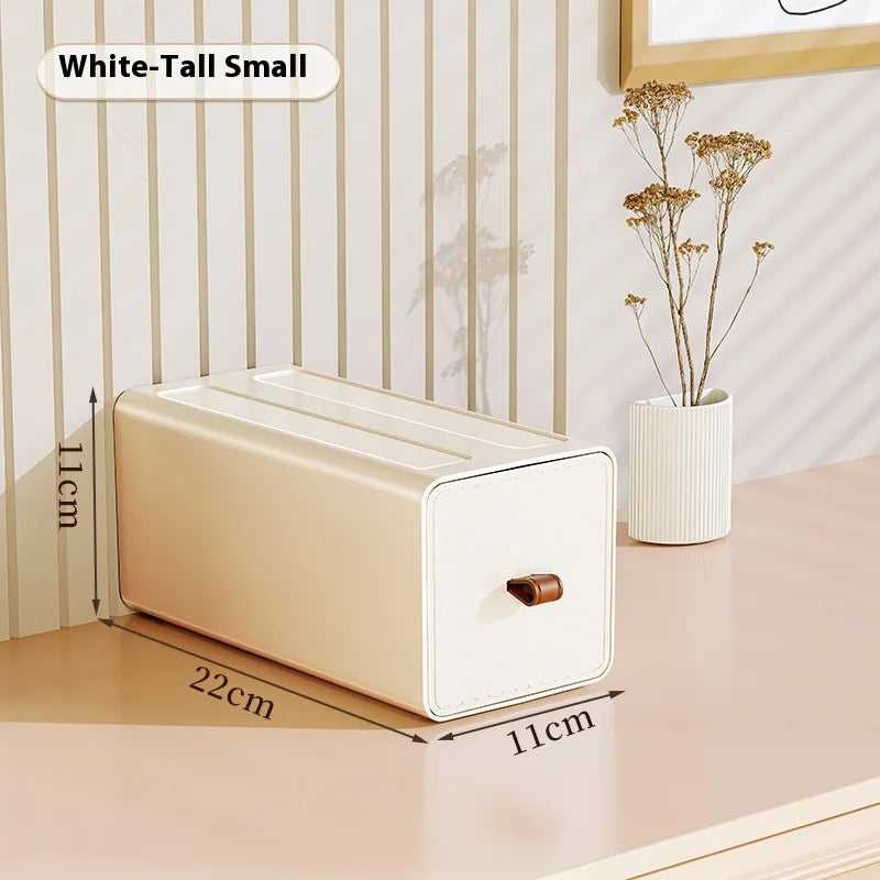 Desktop Pen, Mask & Entryway Storage Organizer