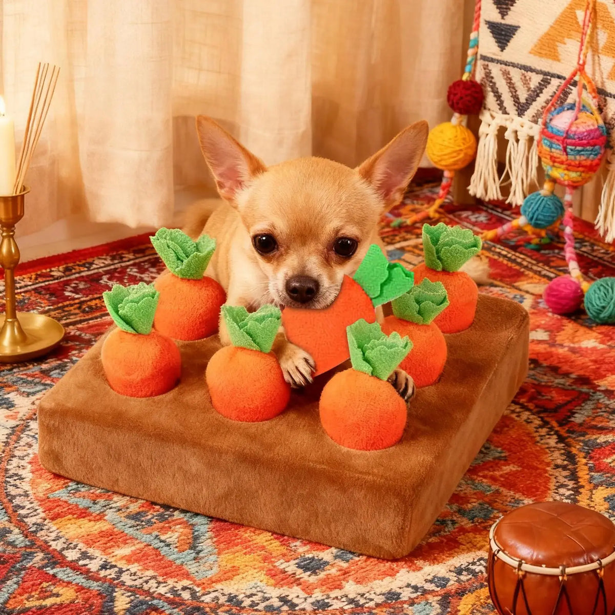Carrot Snuffle Mat & Puzzle Dog Toy