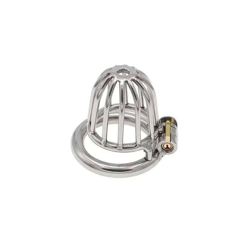 Stainless Steel Locking Chastity Cage