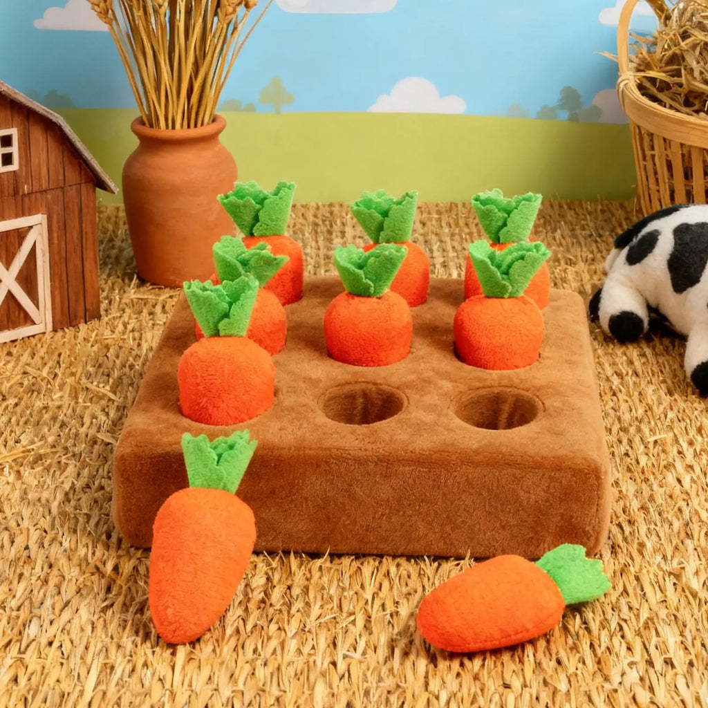 Carrot Snuffle Mat & Puzzle Dog Toy