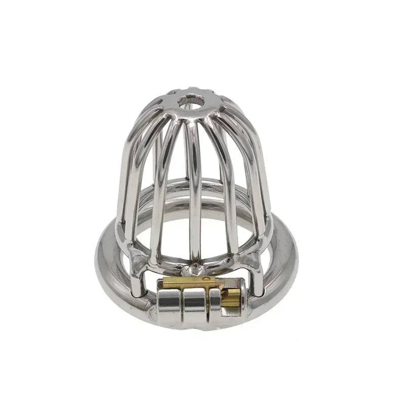 Stainless Steel Locking Chastity Cage