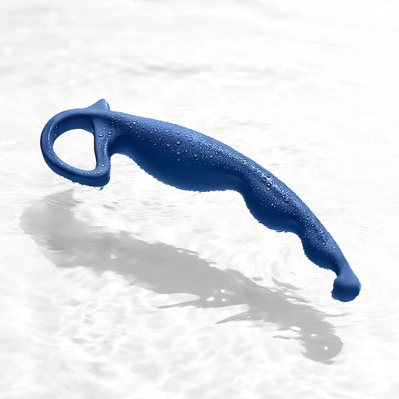 App-Controlled Vibrating Anal Plug